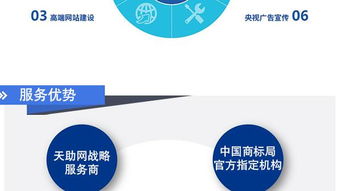 企業信息查詢服務詳解 以濱城易站通和互搜信息科技為例